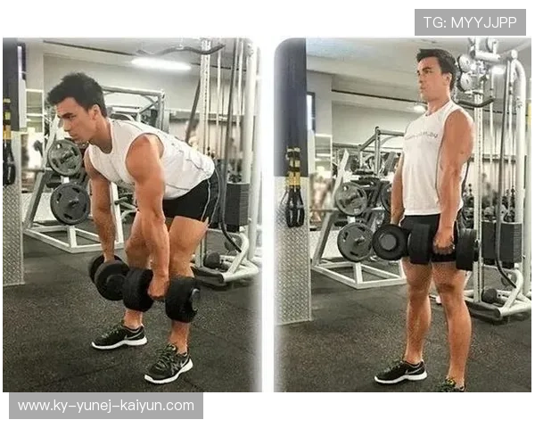 可用于瘦全身的健身器材推荐及其科学运动方法分享