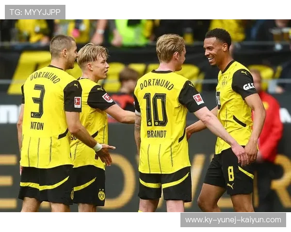 德甲进军欧战球队盘点