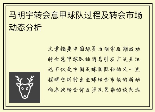 马明宇转会意甲球队过程及转会市场动态分析
